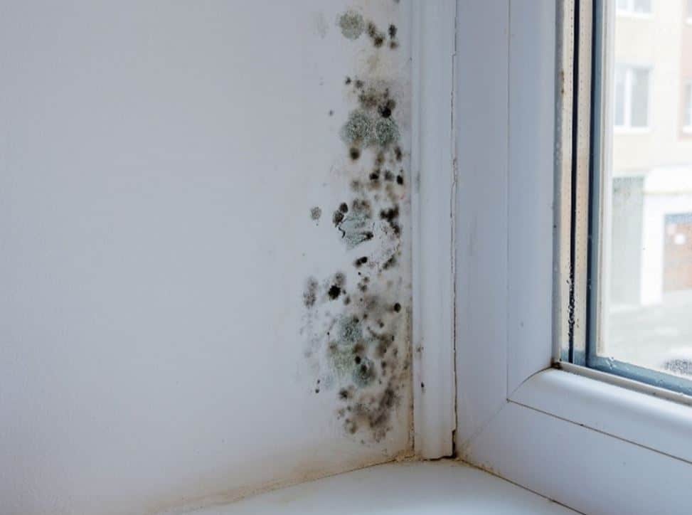 Traces d'humidité au pied d'un mur